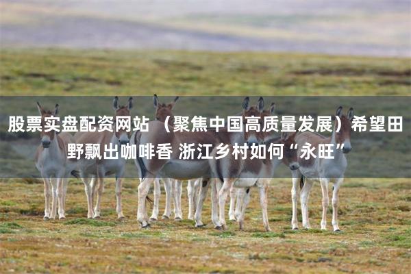 股票实盘配资网站 （聚焦中国高质量发展）希望田野飘出咖啡香 浙江乡村如何“永旺”