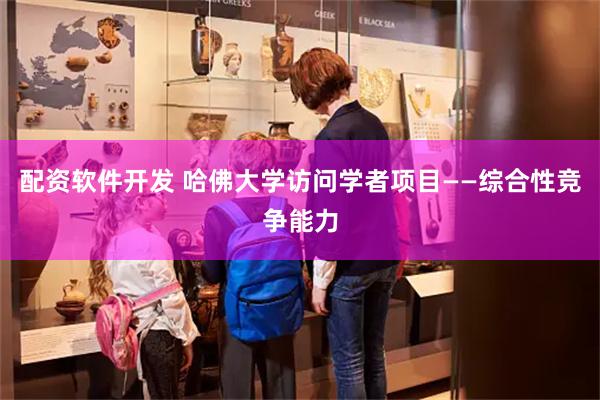 配资软件开发 哈佛大学访问学者项目——综合性竞争能力