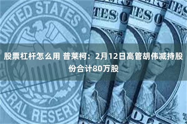 股票杠杆怎么用 普莱柯：2月12日高管胡伟减持股份合计80万股