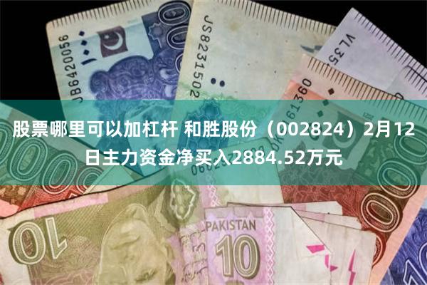 股票哪里可以加杠杆 和胜股份（002824）2月12日主力资金净买入2884.52万元
