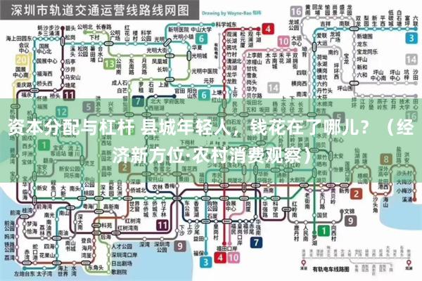 资本分配与杠杆 县城年轻人，钱花在了哪儿？（经济新方位·农村消费观察）