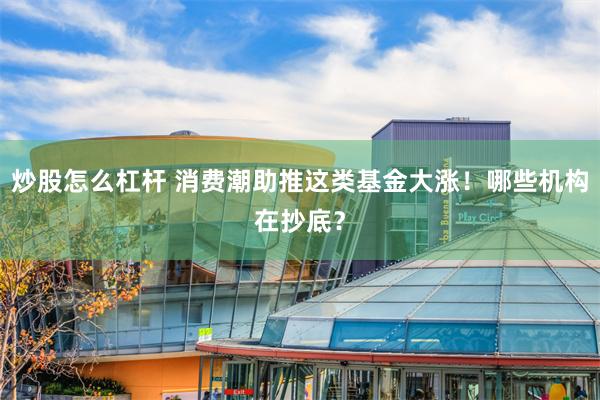 炒股怎么杠杆 消费潮助推这类基金大涨！哪些机构在抄底？