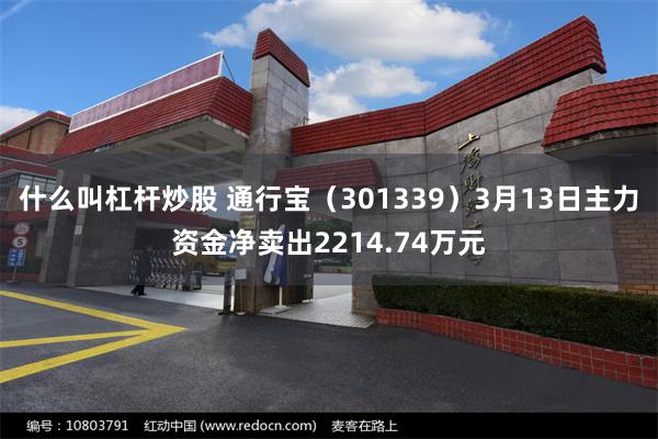 什么叫杠杆炒股 通行宝（301339）3月13日主力资金净卖出2214.74万元
