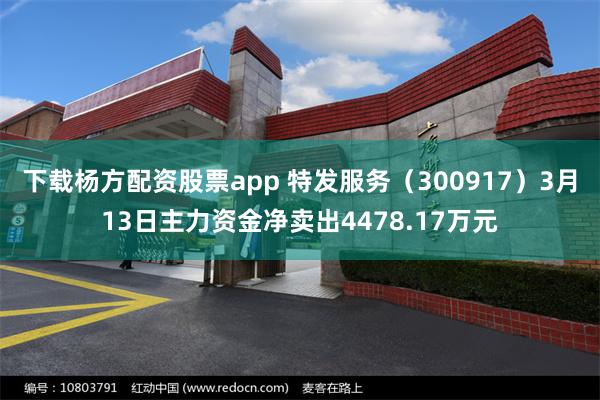 下载杨方配资股票app 特发服务（300917）3月13日主力资金净卖出4478.17万元