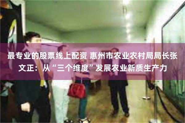 最专业的股票线上配资 惠州市农业农村局局长张文正：从“三个维度”发展农业新质生产力