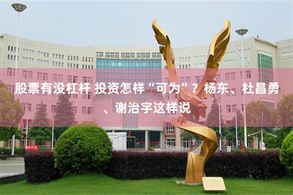 股票有没杠杆 投资怎样“可为”？杨东、杜昌勇、谢治宇这样说