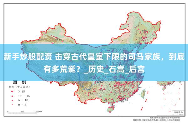 新手炒股配资 击穿古代皇室下限的司马家族，到底有多荒诞？_历史_石嵩_后宫