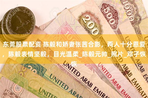 东莞股票配资 陈毅和娇妻张茜合影，两人十分恩爱，陈毅表情坚毅，目光温柔_陈毅元帅_照片_邓子恢