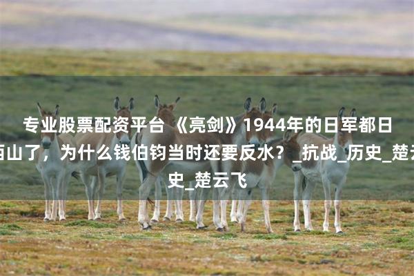 专业股票配资平台 《亮剑》1944年的日军都日落西山了，为什么钱伯钧当时还要反水？_抗战_历史_楚云飞