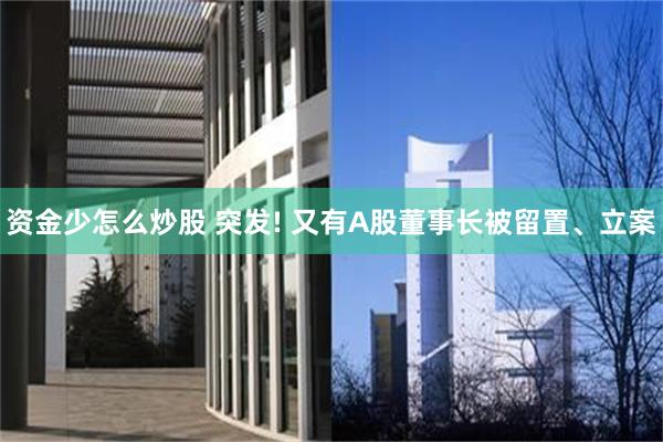 资金少怎么炒股 突发! 又有A股董事长被留置、立案