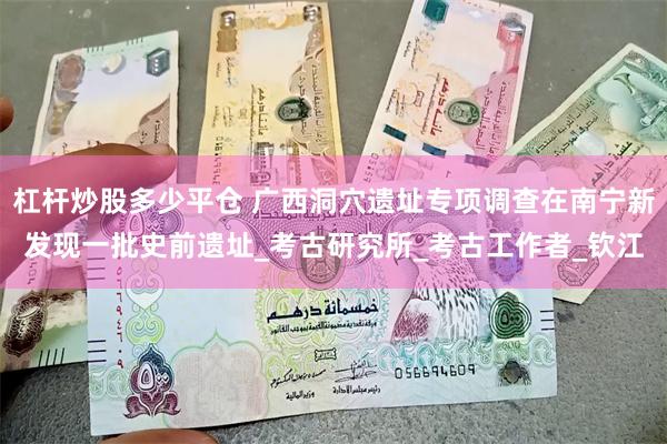 杠杆炒股多少平仓 广西洞穴遗址专项调查在南宁新发现一批史前遗址_考古研究所_考古工作者_钦江