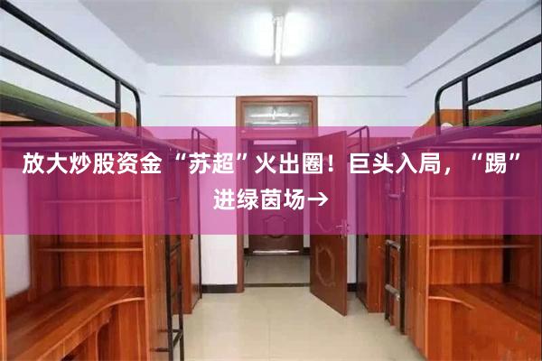 放大炒股资金 “苏超”火出圈！巨头入局，“踢”进绿茵场→